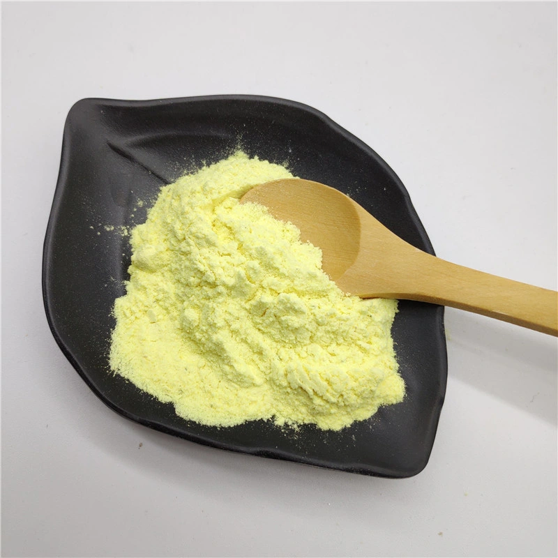 Factory Supply Price Top Quality Plant Extract Rutin Powder with Best Price