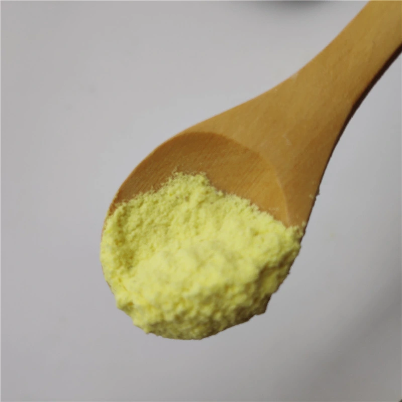 Factory Supply Price Top Quality Plant Extract Rutin Powder with Best Price