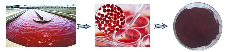 product-745-169 Pure Astaxanthin powder