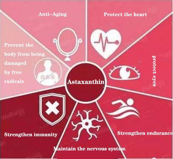 product-280-280 Astaxanthin (1).jpg