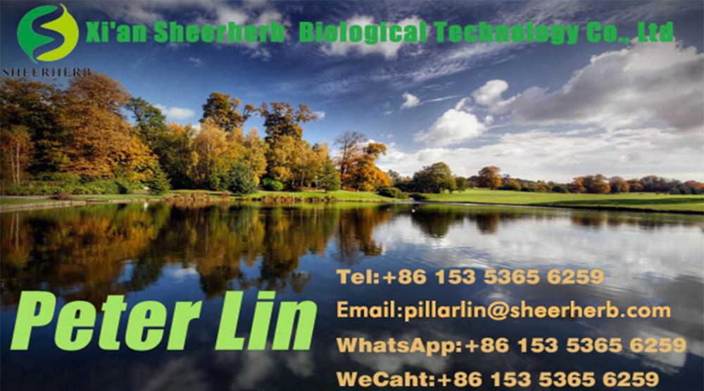 Contact information