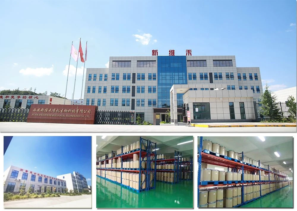 factory
