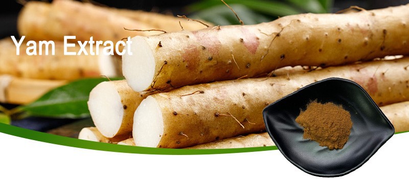 Yam Extract-1 Yam Extract-1