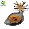Devil's Claw Root Powder