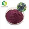 Elderberry Extract Powder