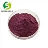 Elderberry Extract Powder