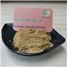 Fadogia Agrestis Extract Capsule