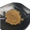 Fungus Extract