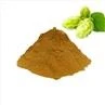 Hops Flower Extract