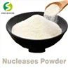 Nucleases Powder