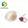 Onion Extract