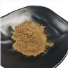 Turkey Tail Extract