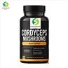 cordyceps sinensis