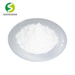 크레아틴 모노하이드레이트 파우더 벌크