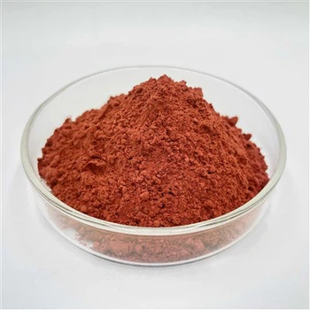 최고의 페리틴 보충제